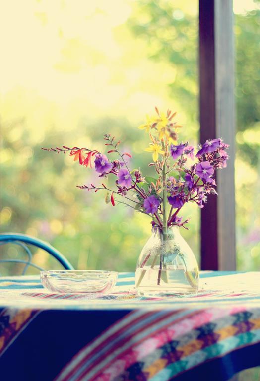 Pear Tree Cottage Стормсривиер Екстериор снимка
