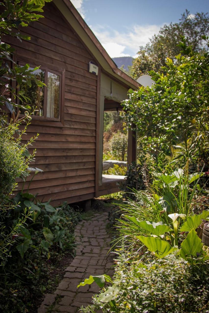 Pear Tree Cottage Стормсривиер Екстериор снимка