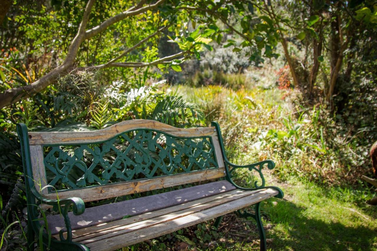 Pear Tree Cottage Стормсривиер Екстериор снимка